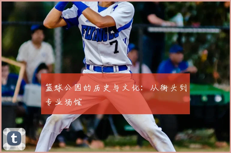 篮球公园的历史与文化：从街头到专业场馆
