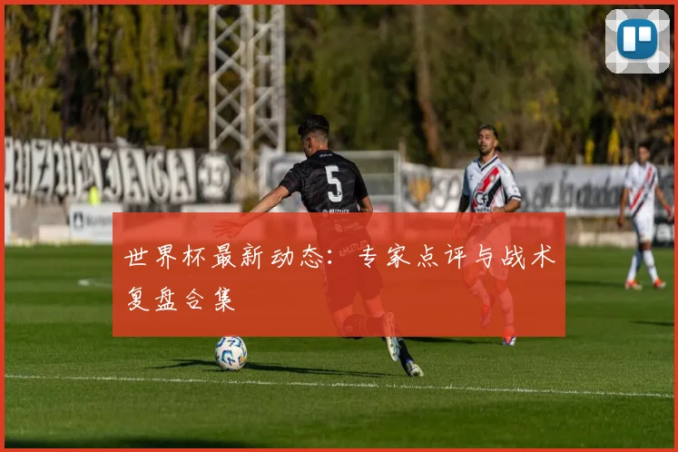 世界杯最新动态：专家点评与战术复盘合集