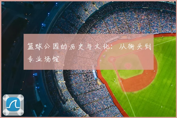 篮球公园的历史与文化：从街头到专业场馆