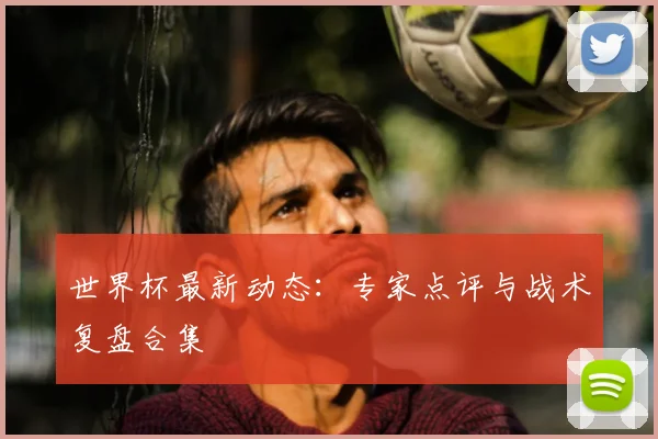 世界杯最新动态：专家点评与战术复盘合集